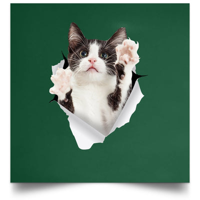 Black & White Cat Reaching - Forest POSSQE Satin Square Poster