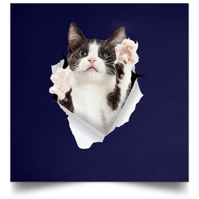 Black & White Cat Reaching - Navy POSSQE Satin Square Poster
