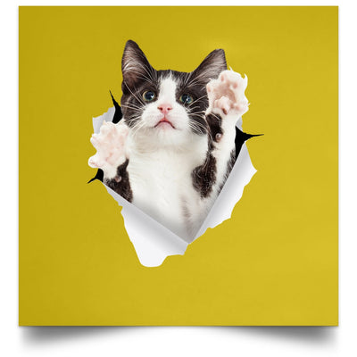 Black & White Cat Reaching - Old Gold POSSQE Satin Square Poster