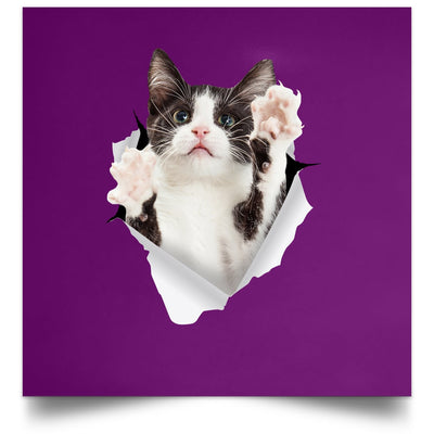 Black & White Cat Reaching - Purple POSSQE Satin Square Poster