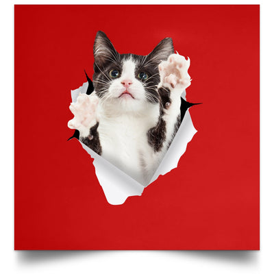 Black & White Cat Reaching - Red POSSQE Satin Square Poster