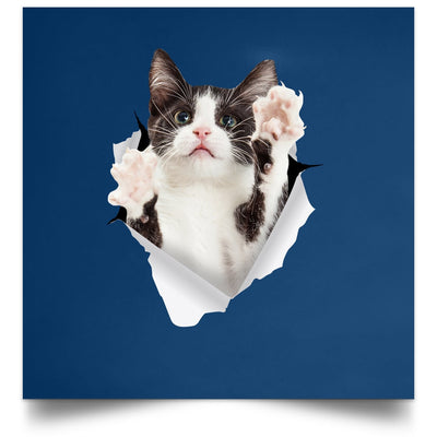 Black & White Cat Reaching - Royal POSSQE Satin Square Poster