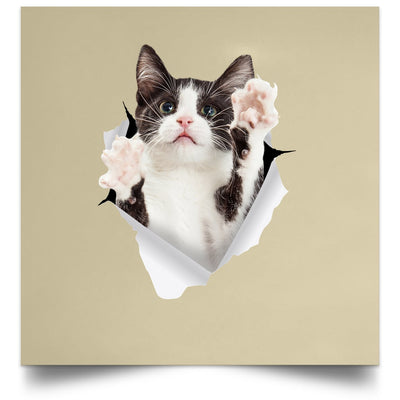 Black & White Cat Reaching - Tan POSSQE Satin Square Poster