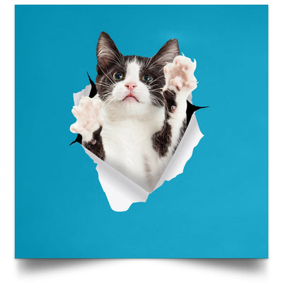 Black & White Cat Reaching - Turquoise POSSQE Satin Square Poster
