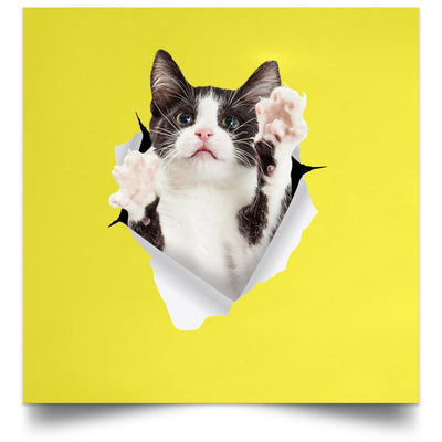 Black & White Cat Reaching - Yellow POSSQE Satin Square Poster