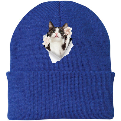 Black & White Cat Reaching - Athletic Royal CP90 Port & Company Knit Beanie