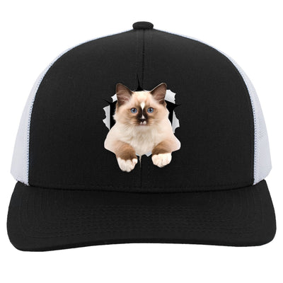 Ragdoll Cutie - Black/White 104C Trucker Snap Back