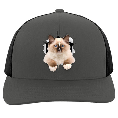 Ragdoll Cutie - Graphite/Black 104C Trucker Snap Back