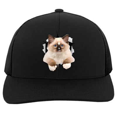Ragdoll Cutie - Black 104C Trucker Snap Back