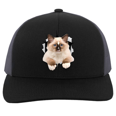 Ragdoll Cutie - Black/Graphite 104C Trucker Snap Back