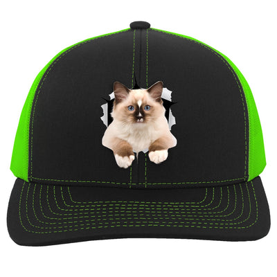 Ragdoll Cutie - Black/Neon Green 104C Trucker Snap Back