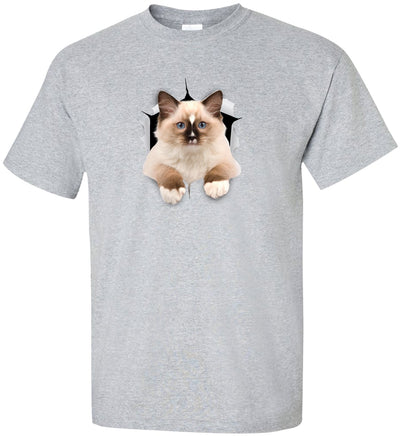 Ragdoll Cutie - Sport Grey G200T Gildan Mens Tall Ultra Cotton Tee