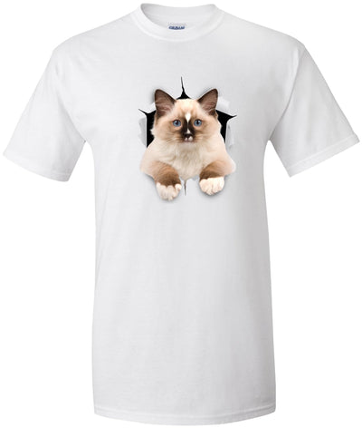 Ragdoll Cutie - White G200T Gildan Mens Tall Ultra Cotton Tee