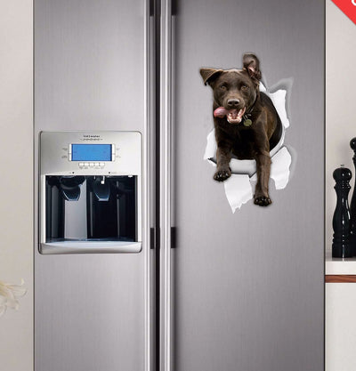 Excited Black Labrador Decals