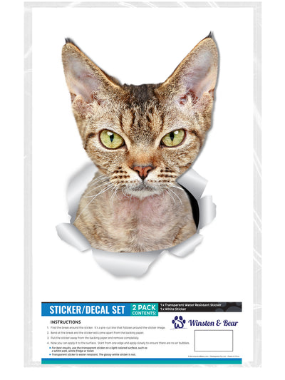 Grumpy Rex Cat Decals