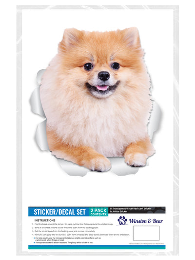 Puffy Pomeranian Decals