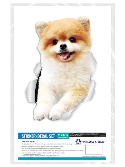 Funny Pomeranian Decals