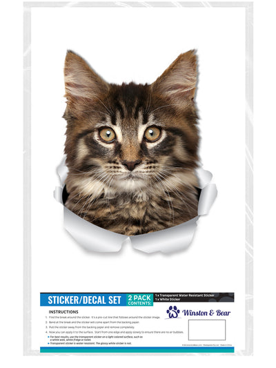 Maine-coon Decals