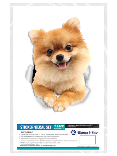 Cute Pomeranian Decals