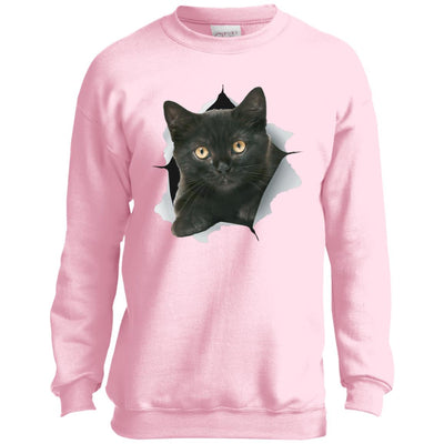 Black Kitten Youth Crewneck Sweatshirt