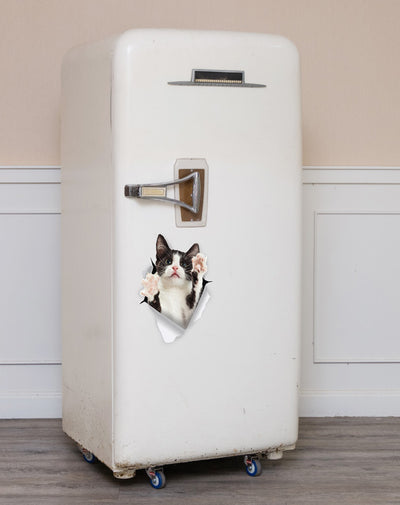 Black & White Reaching Cat Decals