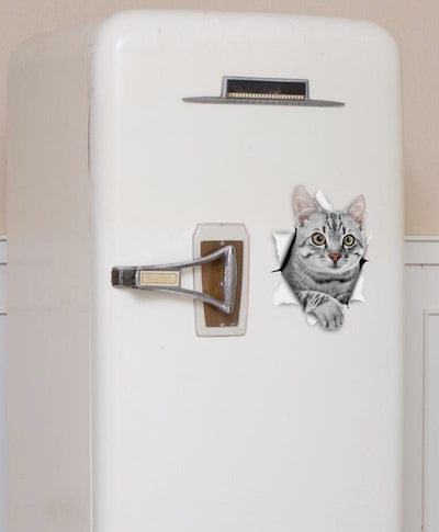 Grey Tabby Decals