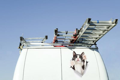 Black & White Reaching Cat Decals