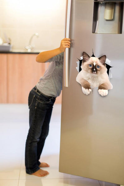 Brown Ragdoll Cat Decals