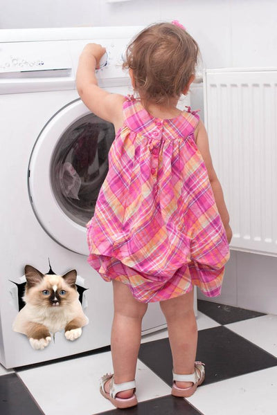 Brown Ragdoll Cat Decals