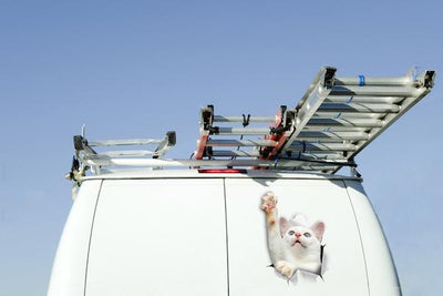 White Reaching Cat Decals