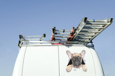 Brown French Bulldog Decals