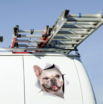 Winking French Bulldog Decals