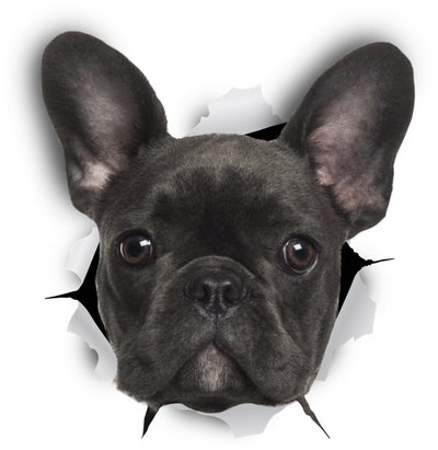 Black French Bulldog Decals