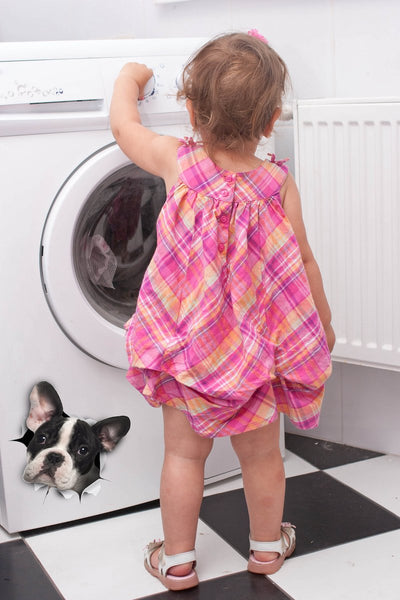 Black & White French Bulldog Decals