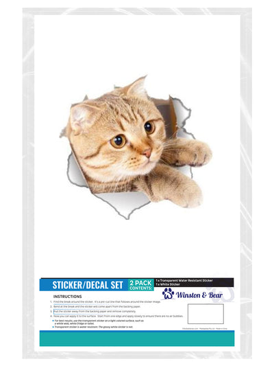 Playful Cat Decals