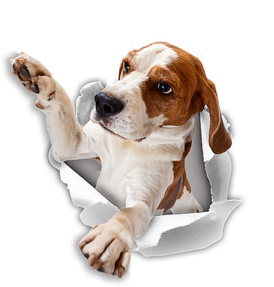 Reaching Beagle Decals