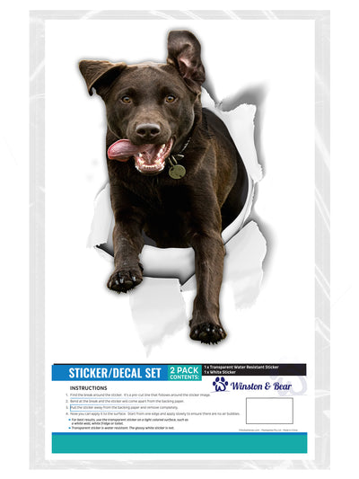 Excited Black Labrador Decals