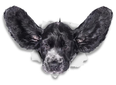 Funny Cocker Spaniel Decals