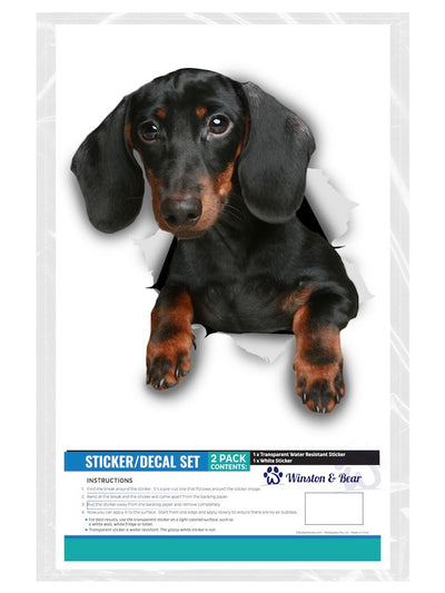 Black Dachshund Decals