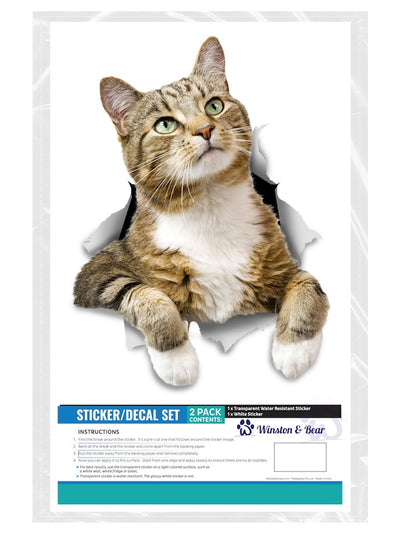 Pondering Tabby Decals