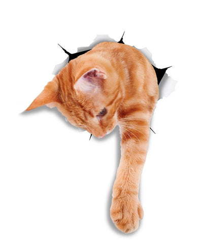 Reaching Ginger Decals