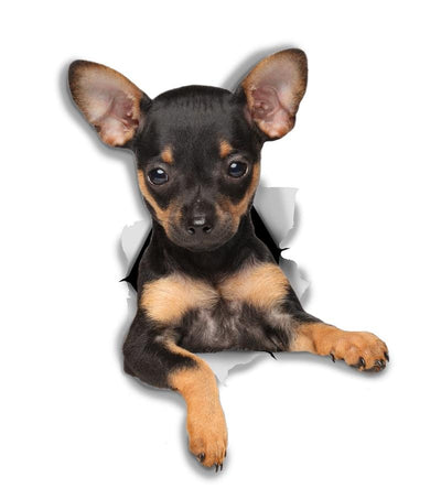 Toy Terrier Puppy Decals