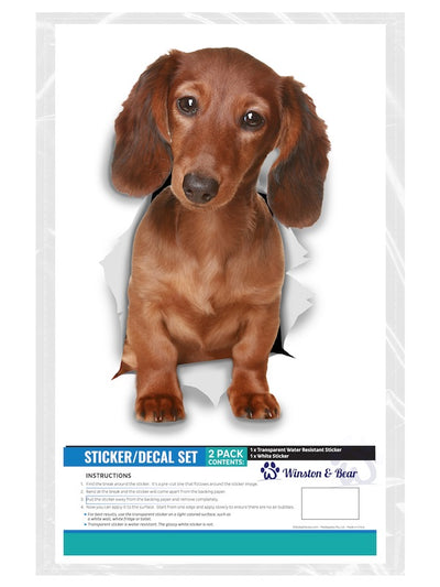 Adorable Dachshund Decals
