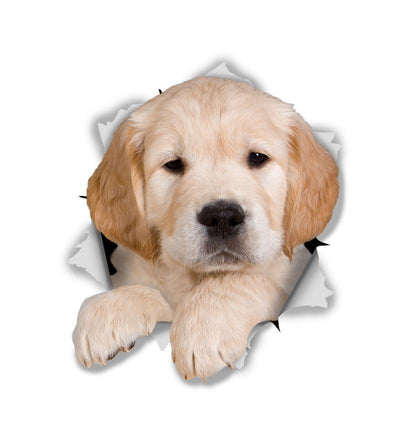 Golden Retriever Pup Decals