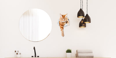 Climbing Ginger Decals