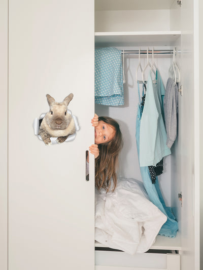 Rascally Rabbit Decals