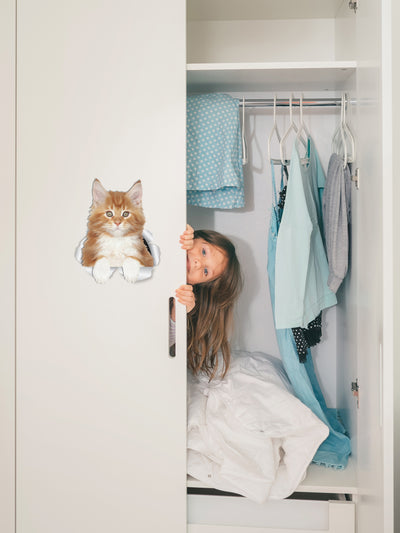 Cute Ginger Kitty Decals