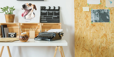 Happy Jack Russell Decals