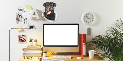 Smiling Rottweiler Decals