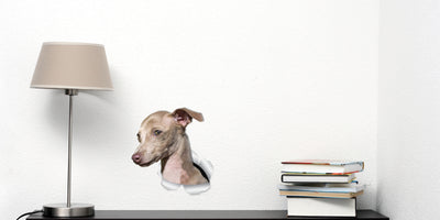 Cute Greyhound Decals